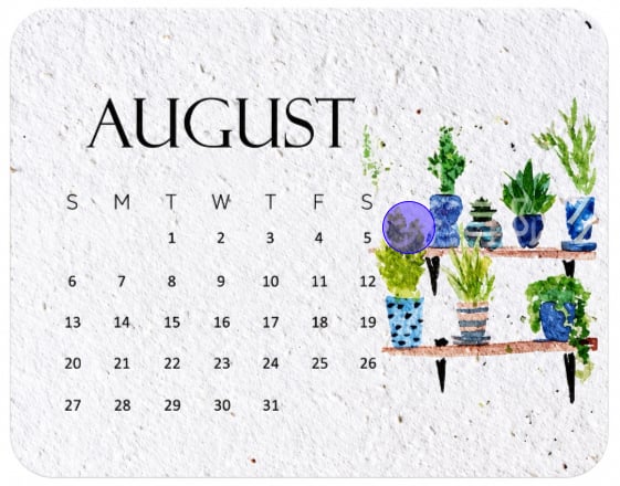 ๐ฑ 2027 Plantable Calendar โ Use It. Plant It. Watch It Grow.