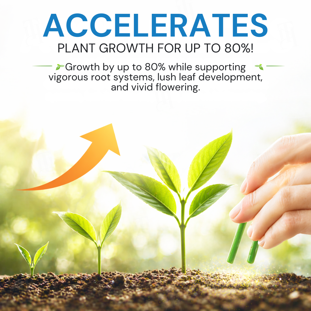 Limited Stock!!⚡AEXZR® Home Greenery · 90-Day Lazy Plant Food Sticks🌿 At last – a plant food that works whilst you sleep.