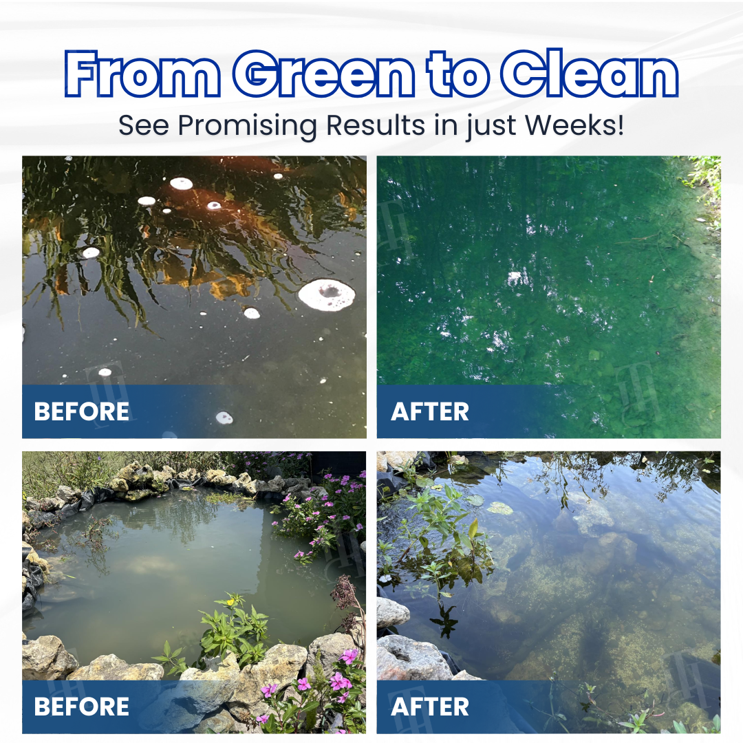 AEXZR® Aqua-Guardian Pro Formula🐟 From Swampy Green to Crystal Clear💧 – Fast-Acting & Safe for Animals