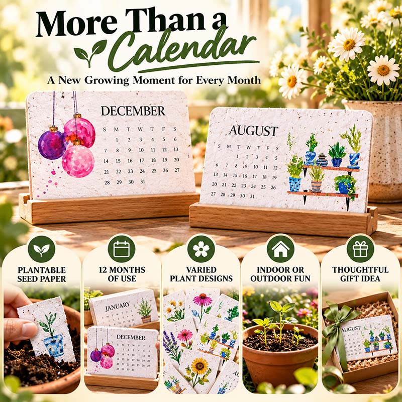 🌱 2027 Plantable Calendar – Use It. Plant It. Watch It Grow.