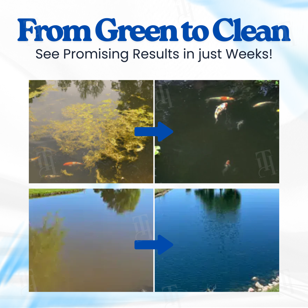 AEXZR® Aqua-Guardian Pro Formula⚡The Dual-Bio Powerhouse: Clears Water in 24 Hours, Restores Ecological Balance For Good.